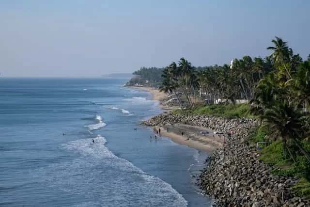 Palm-lined beach beside the sea