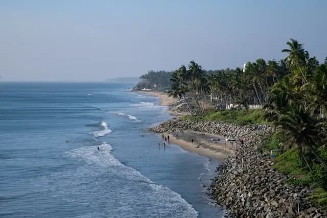 Palm-lined beach beside the sea